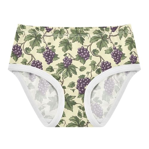 Vintage Grape Pattern Toddler Girls's Underwear 2T 202c1130