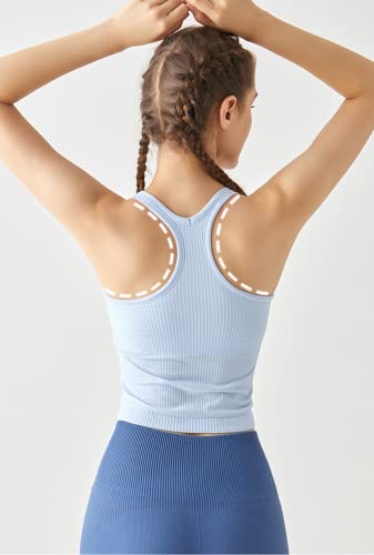Image of sphinx cat Womens Ribbed Workout Crop Tops with Built in Bra Yoga Racerback Tank Top Slim Fit