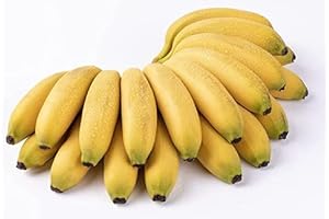 Baby Bananas, Fresh Organic