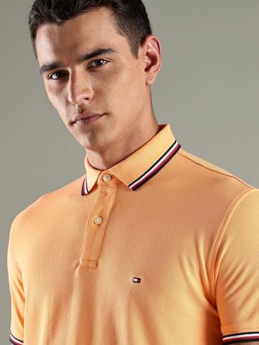 Image of Tommy Hilfiger Men Polo Shirt