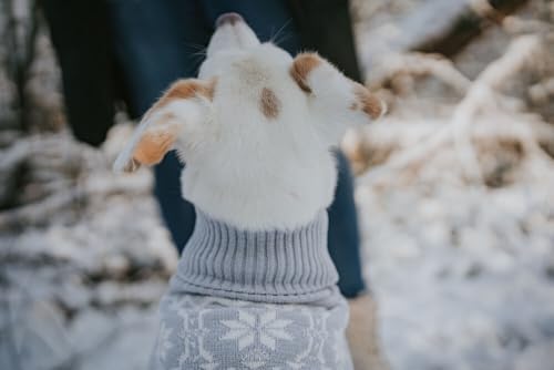 Hunter Hundepullover BIRKA, Warmer Strickpullover für Hunde, weiches Chenille-Garn, mit Rollkragen & Norwegermuster, maschinenwaschbar bei 30°C, Farbe: graublau, Größe: 35