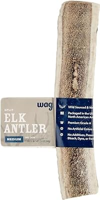 Elk Antler Dog Treats: Top 10 All-Natural Chews for Aggressive Chewers [2026]