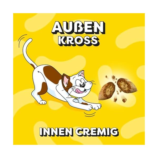 Dreamies Klassiker Katzensnacks mit Ente – Traumhaft knusprige Taschen mit zarter Füllung – 6 x 60g – Bild 10