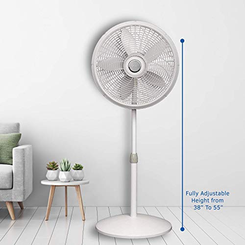Lasko 1820 18″ Elegance & Performance Adjustable Pedestal Fan, White - Features Oscillating Movement Tilt-Back Fan Head (Renewed) #TOP4