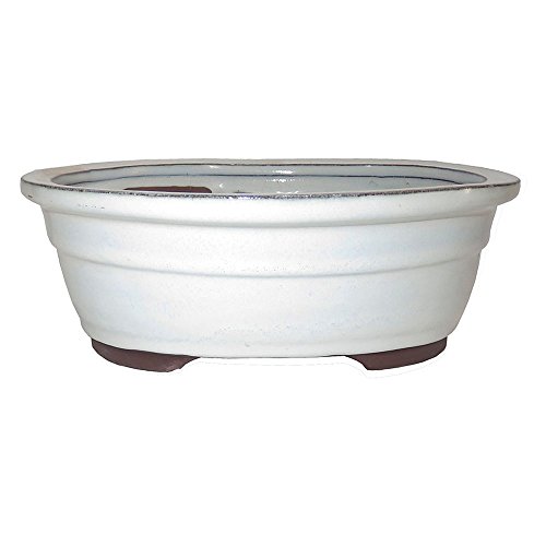 Brussel's 10 inch Oval Cream