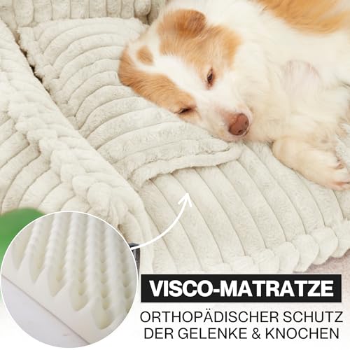 noviclass® Hundesofa Chaffar Hundebett | Orthopädische Matratze | Moderner Stil | Cord-Design Größen (Creme, XXL (140cm))