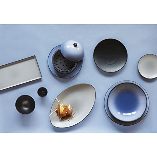 Revol – Plato para Servir (Equinoxe 32,5 x 15 x 1,8 cm, Porcelana, Pimienta, 32,5 x 15 x 1,8 cm