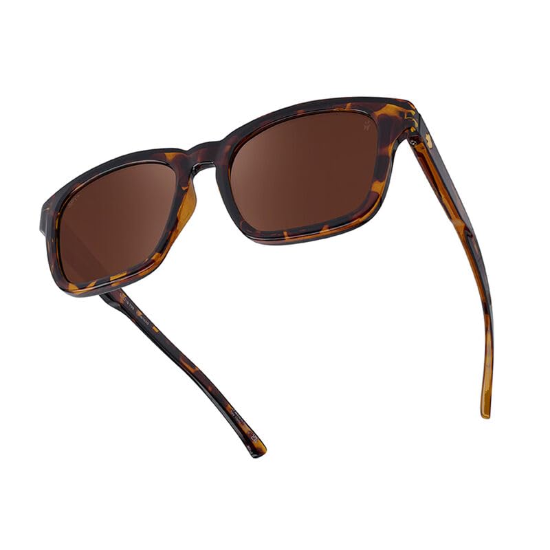 Saxony Honey Tort - Happy Boost Bronze Polar2