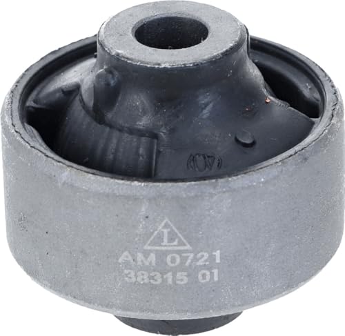 LEMFÖRDER 38315 01 Silentbloc de Bras de Suspension pour Nissan QASHQAI I (J10, NJ10) 2006-2015 Arrière, Droite, Gauche, Essieu Avant et autres véhicules