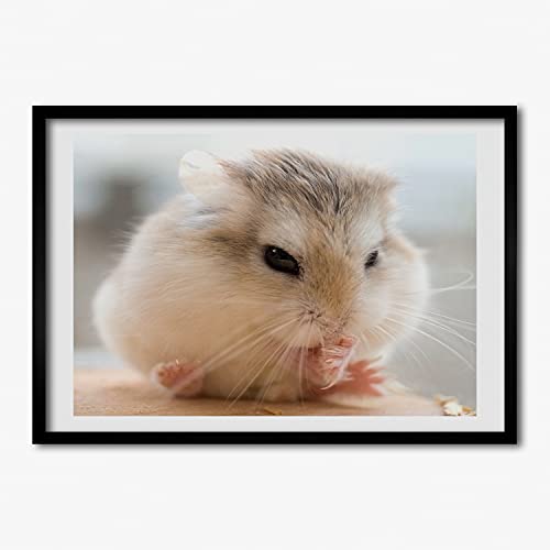 Cadre MDF 70x50 cm Tulup pour photo et affiche en bois moderne noir