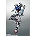 TAMASHII NATIONS - Mobile Suit Gundam SEED - GAT-X105 Strike Gundam Version A.N.I.M.E., Bandai Spirits The Robot Spirits