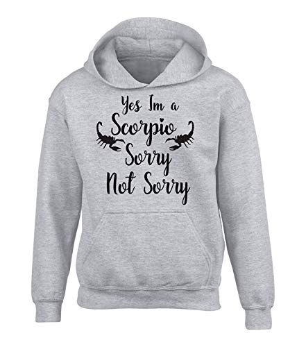 Sweat à capuche Scorpio Edward Sinclair gris pour enfant de 9-11 ans avec motif astrologique