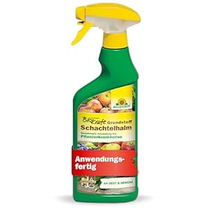 Neudorff BioKraft Schachtelhalm Spray 500 ml