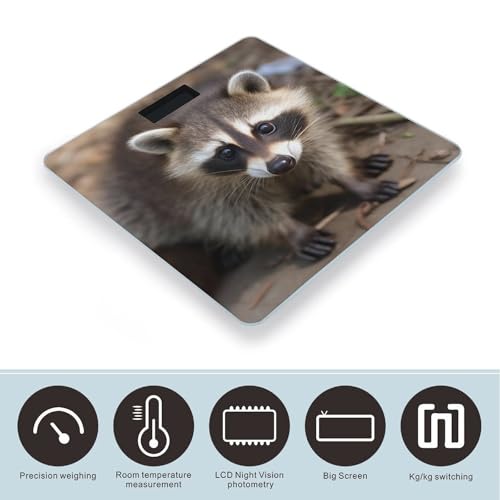Báscula Digital de Vidrio Templado Cub Raccoon miniatura 3