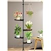 Amazon.com: ORCOW Indoor Plant Pole Spring Tension Rod Indoor Plant ...