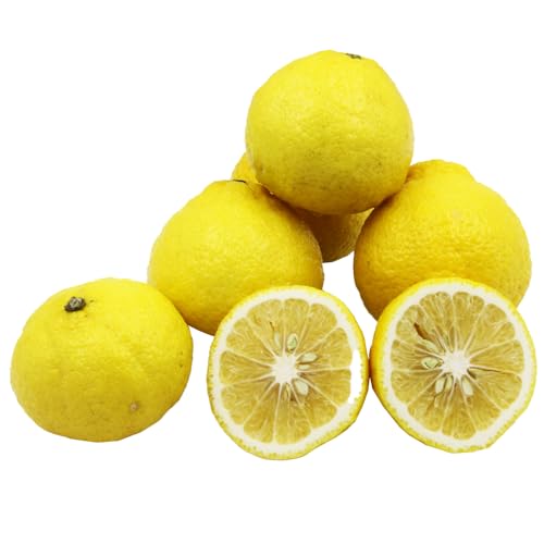 愛媛西予市産 はるか 家庭用 約4kg 愛媛県 西予市