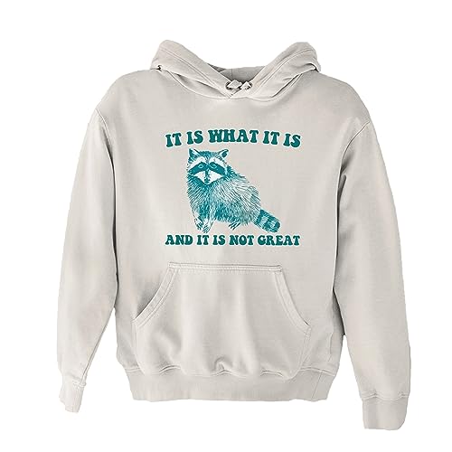 It Is What It Is And It Is Not Great - Vintage Drawing Hoodie, Raccoon Meme Hoodie, Funny Trash Panda Hoodie, Unisex Hoodie