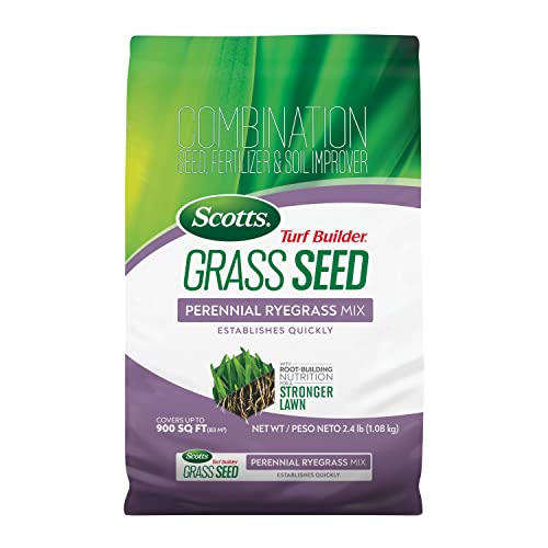Scotts Turf Builder Grass Seed Perennial Ryegrass Mix - Combination Grass Seed, Lawn Fertilizer...