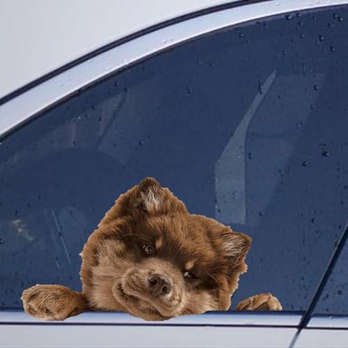 Image of Innish Lapphund Car Window Stickers Innish Lapphund Car Decal Animal Pet Window Decal Window Bumper Decals Decor for Car Truck Window Wall Gift to Dog Lover