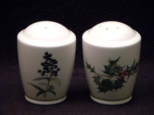 Noritake The Country Diary Of An Edwardian Lady #9342L Salt & Pepper