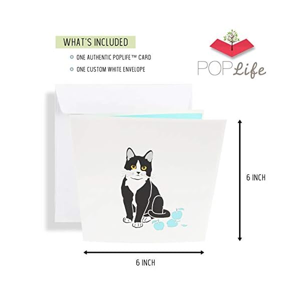 PopLife Verspielte Katzen-Pop-Up-Karte, 3D-Karte für alle Anlässe - Katzenliebhaber-Karte, lustig – Bild 7