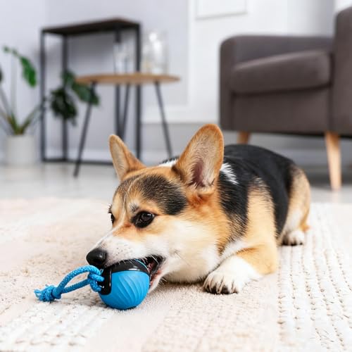 TZQFROCE Interaktives Hundespielzeug Hunde Ball Spielzeug Automatisch Rollender Ball für Hunde 3 Spielmodi interaktiver Hundespielball für Aktivitäten und Unterhaltung