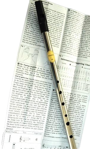 Tin Whistle Feadog en nickel clé de D - Flûte irlandaise traditionnelle