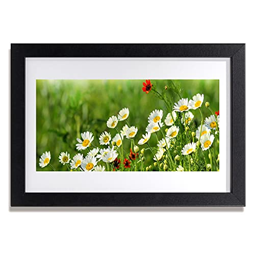 Cadre de salon haut de gamme 30x20 cm avec affiche encadrée daisy nature