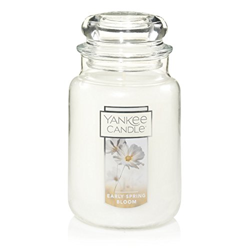 ヤンキーキャンドル　EARLY SPRING BLOOM Yankee Candle Early Spring Bloom Jar Candle, Large : Amazon.in