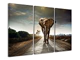 🐘 Ambiance safari chic – Toile imprimée HD mettant en scène Triptyque Eléphant D'Afrique, idéale pour réchauffer un salon lumineux ou une entrée élégante.