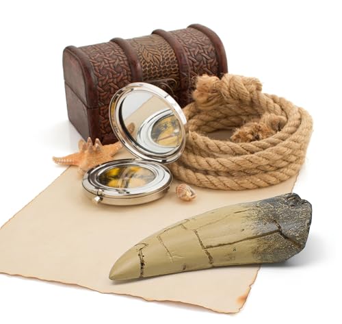 Image of T rex Tooth, Dinosaur Teeth, Resin Tyrannosaurus Toothy Direct Cast Replica, Mosasaurus Spinosaurus Trex Fossils Model for Necklace, Fossilized Various Prehistoric Dinosaurs High-Fidelity Replicas