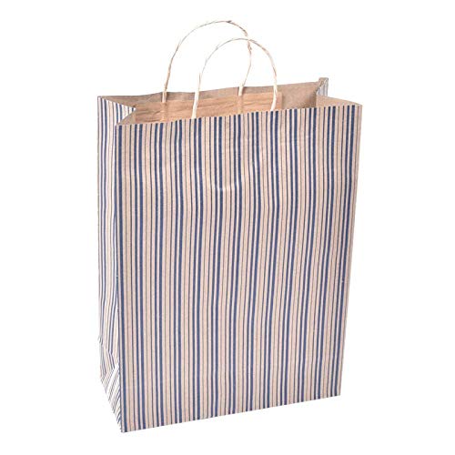 Sapco Solid Gift Paper Carry Bag Pack of 10(Solid-Brown) (B08JSW53LN) Amazon Price History, Amazon Price Tracker