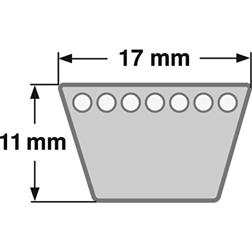 Cinghia trapezoidale 17 x 3150 Li – B 124 Gates Hi-Power