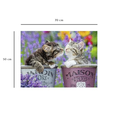 Puzzle 1000 pièces : Bisous de chatons Ravensburger Nathan - vue 8