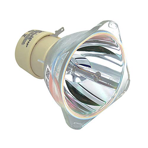 Image of Araca (OEM Original Bulb BL-FU240A /5J.J9V05.001 /1510X /1610HD Projector Bare Lamp for HT8050 W11000 DH1011 EH300 HD131X HD2500 HD30 HD30B MW632ST MX631ST MS630ST MX620ST Projector