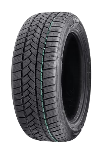 Pneu PROFIL 225/45R18 PRO SNOW 790 RUN FLAT 95VXL