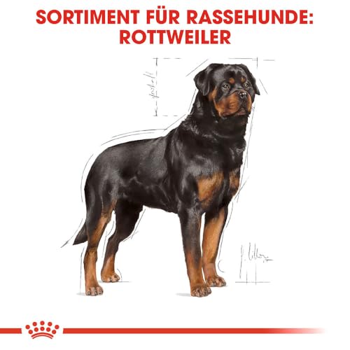 ROYAL CANIN Rottweiler Adult Trockennahrung für Hunde – 12kg