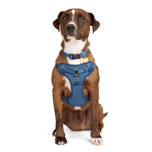EveryYay Full Dog Harness Navy X-Large/XX-Large