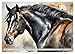 Elegant and Graceful (Wall Calendar 2026 DIN A3 Landscape), CALVENDO Monthly Calendar: Beautiful AI Generated Watercolours of Horses