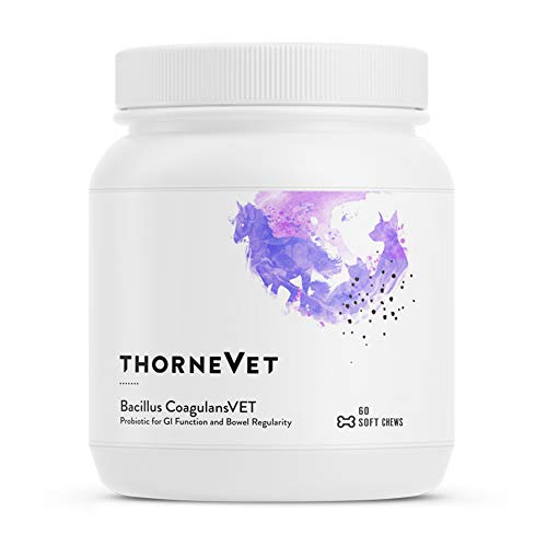 ThorneVet Bacillus CoagulansVET – Gastrointestinal Support for Dogs, Cats & Horses 60 Soft Chews