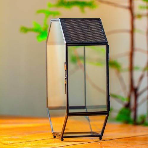 NCYP Glass Enclosure Terrarium with Mesh and Door for Jumping Spiders, Snails, Insects - Octagon Shape Small Terrarium 6.2 x 3.1 x 8.7 inches, Black Tabletop Decor (Plants Not Include) — view 8