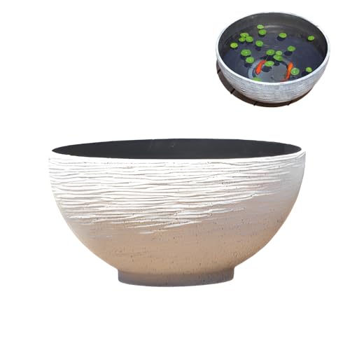 [starrycoo]_J  @ ی^  e   ϗtA 琅 Oe A͔| ԕr | }CNiϕi