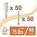 Pack of 50 Self Drilling Drywall Anchors #8 and 50 Philips Pan Head Self Tapping Screws for Gypsum Boards & Drywalls or Plasterboards - Holds up to 75 Lbs / 34 Kg - by Mobi Lock