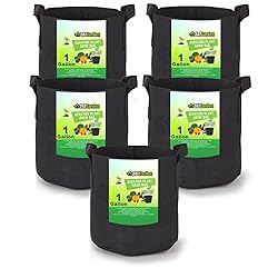 4 Best Vegetables Grow Bags 12 4 Best Vegetables Grow Bags