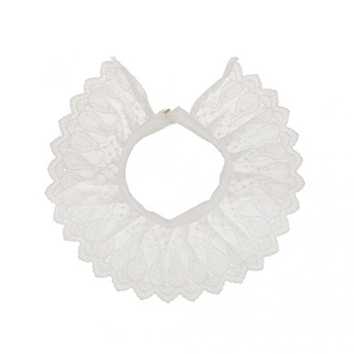 2Pcs Fashion Lace Women Cotton Shirt Peter Pan Fake Collar Detachable White | Womens Accessories | Other Womens Accessories-image-35