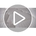 Queen Mattresses,14 Inch Queen Size Mattresses in a Box,Memory Foam Hybrid White & Black Mattress with Provide Support and Improve Sleep,Pressure Relief,Medium Firm