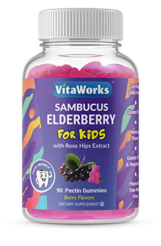 VitaWorks Sambucus Elderberry with Rosehip Extract for Kids  Great Tasting Natural Flavor Gummy  Gluten Free Vegetarian GMO-Free Chewable Vitamin  for Immune Support  Tooth Friendly  90 Gummies