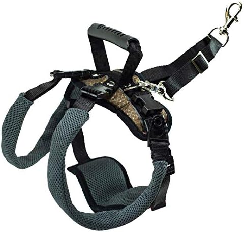 PetSafe CareLift Rear Support Harness - Lifting Aid with Handle - Great for Pet Mobility and Older Dogs - Comfortable, Breathable Material - Easy to Adjust - Medium, Carelift