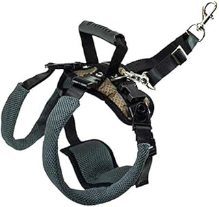 PetSafe CareLift Rear Support Harness - Lifting Aid with Handle - Great for Pet Mobility and Older Dogs - Comfortable, Breathable Material - Easy to Adjust - Medium, Carelift
