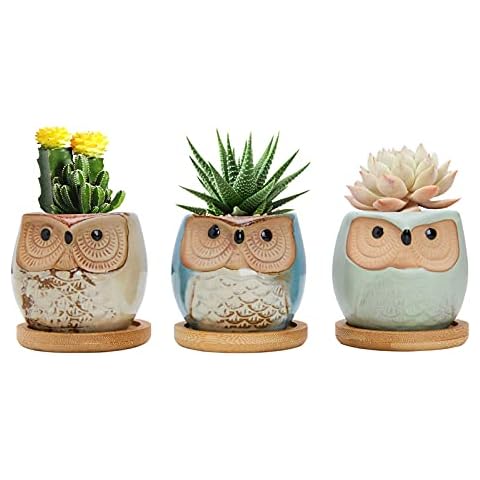 Warmplus 2.5 inch Owl Succulent Plant Pots - Mini Ceramic Planter with Drainage Hole for Mini Succulent Plants, Plants Not Included, Cute Succulent Kit 3 Pack Cover